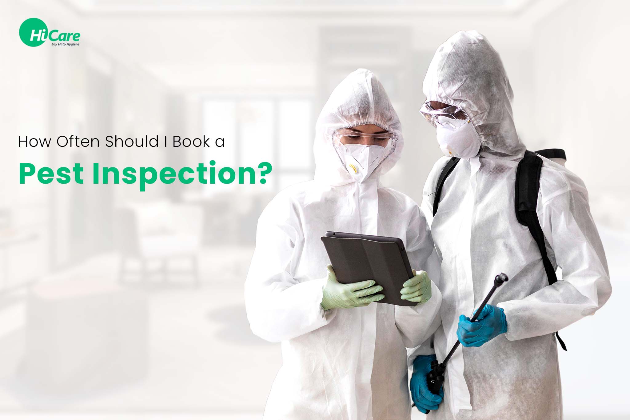 How Often Should I Book a Pest Inspection?