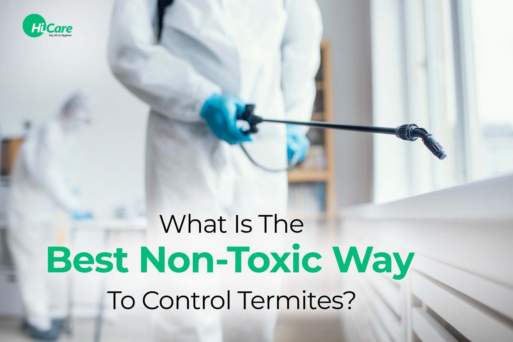 what is the best non-toxic way to control termites