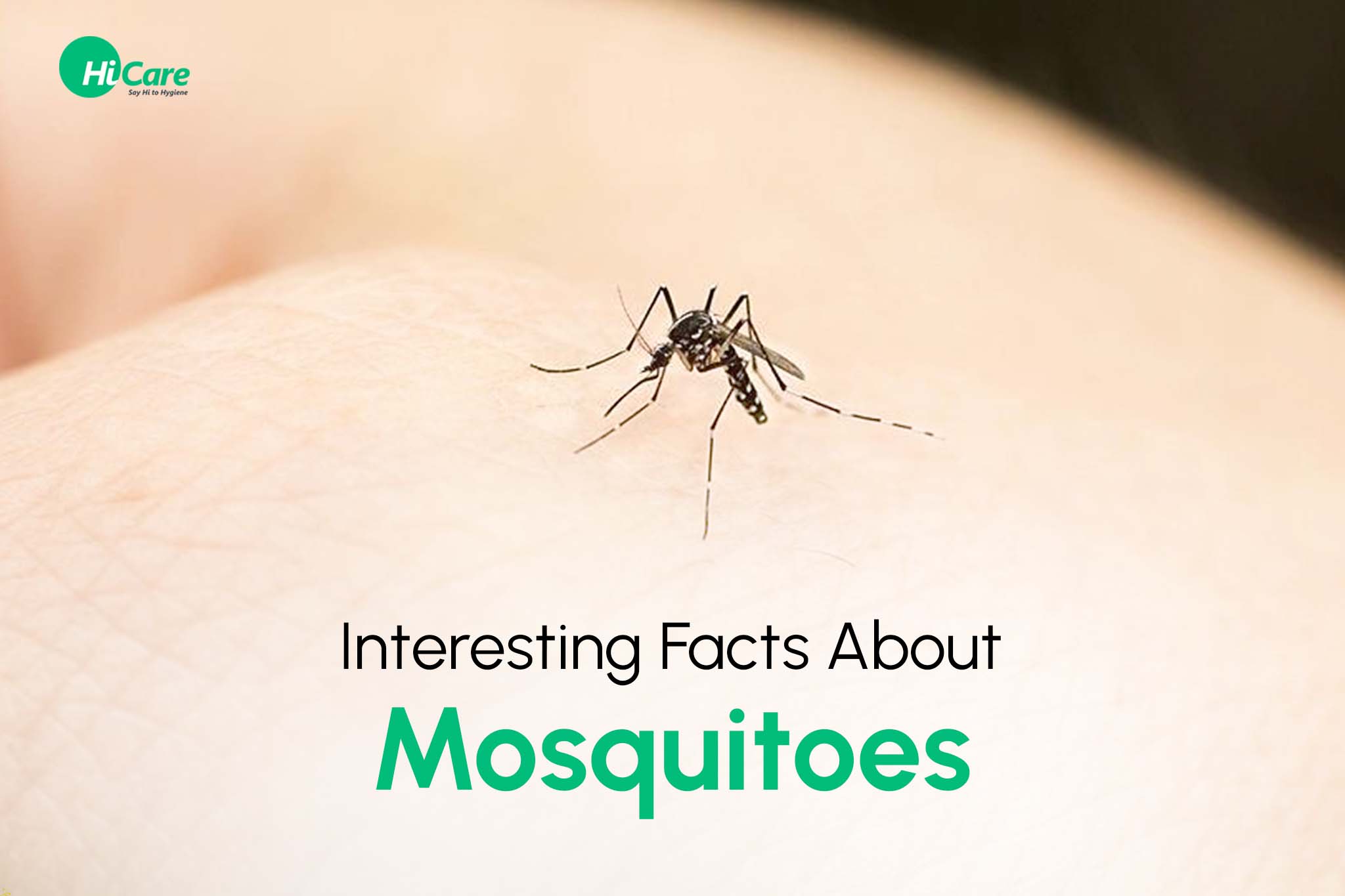 interesting facts about mosquitoes
