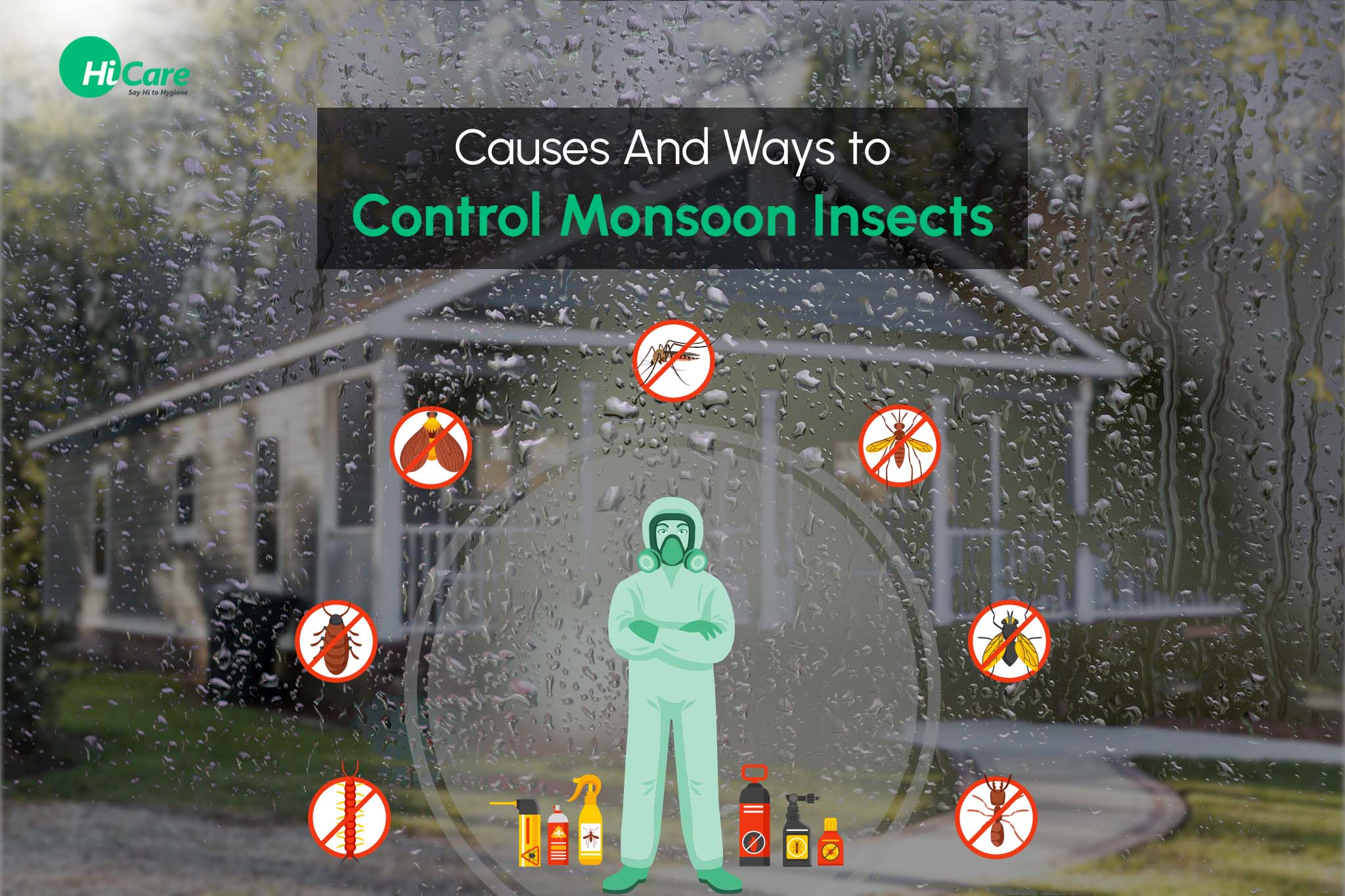 Causes And Ways to Control Monsoon Insects