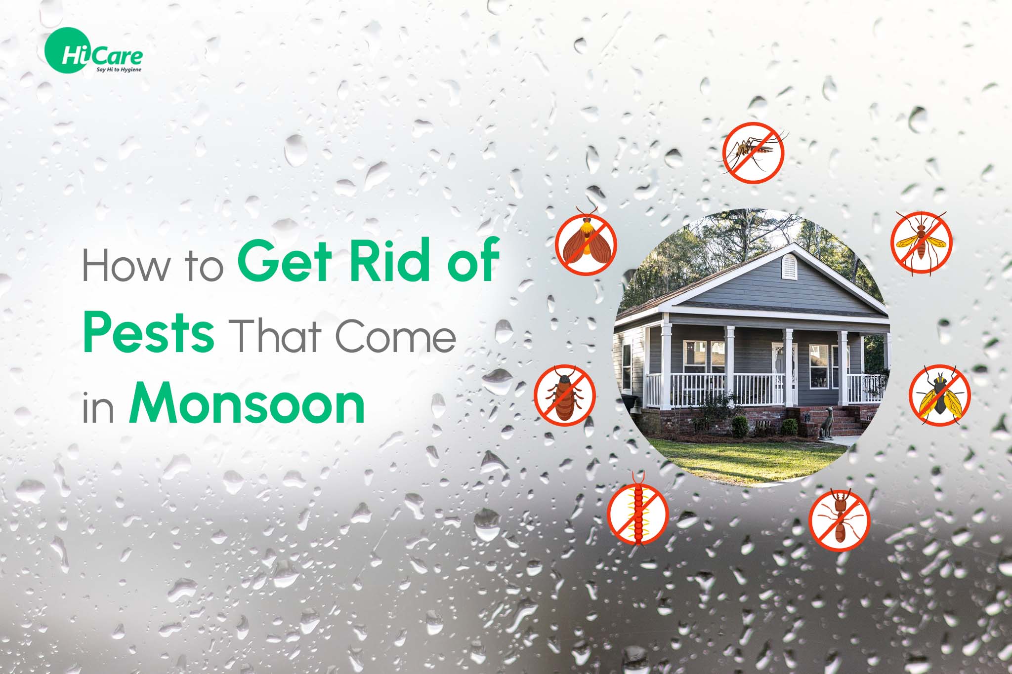 how to get rid of pests that come in monsoon
