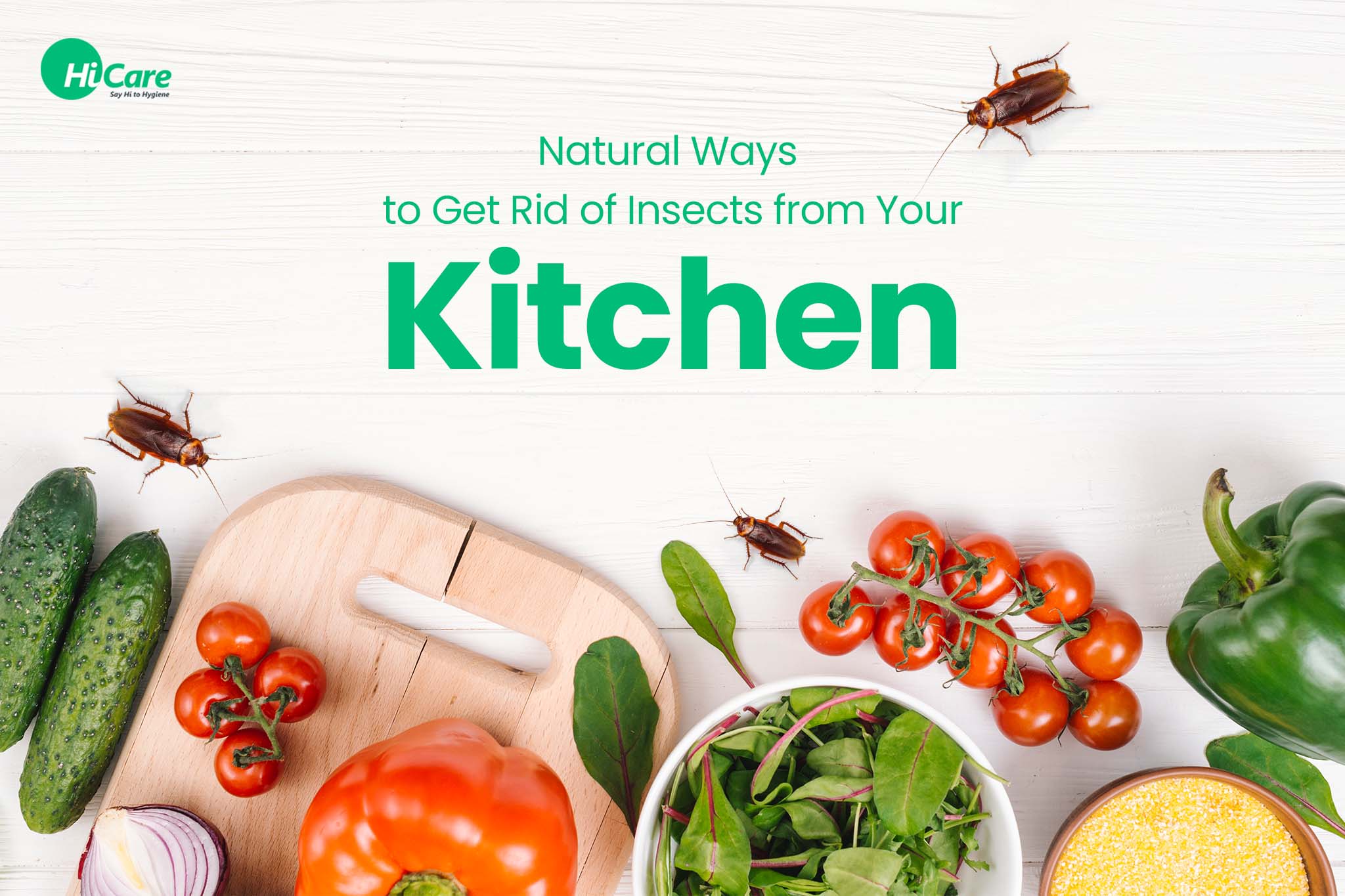 7 Natural Ways To Get Rid Of Insects From Your Kitchen