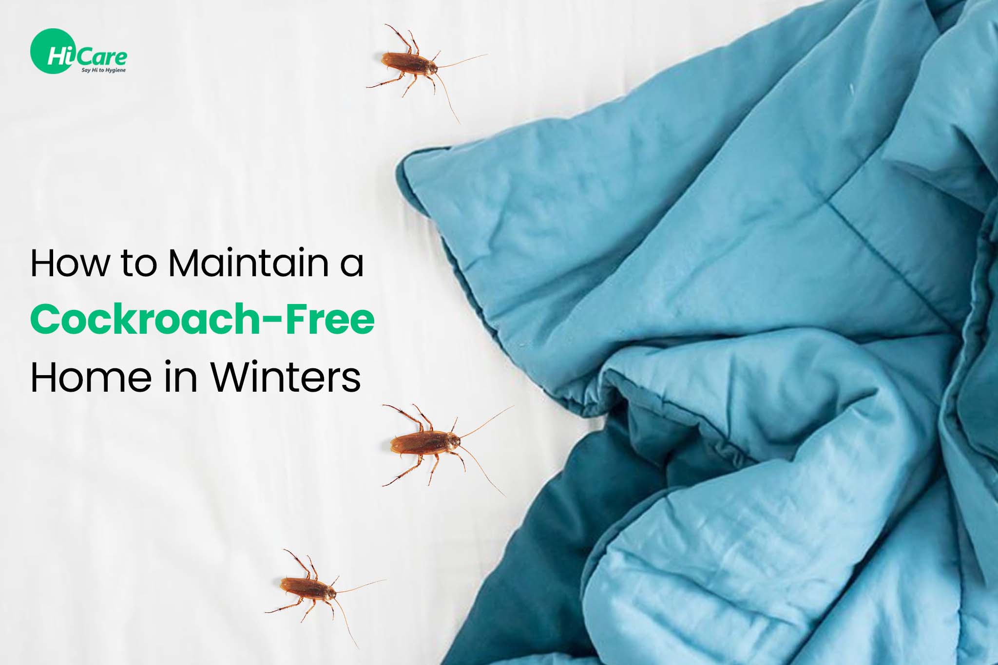 How to Maintain a Cockroach-Free Home in Winters?