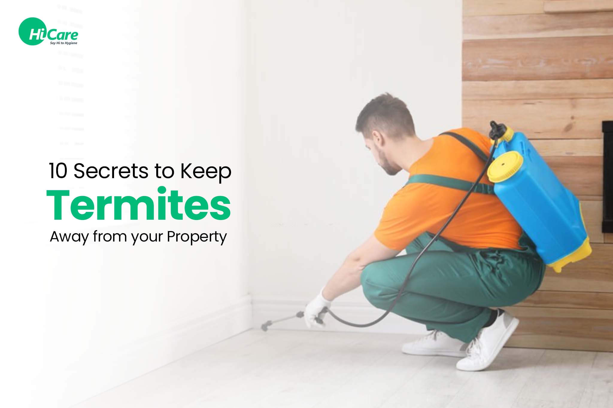 10 Secrets to Keep Termites Away from Your Property