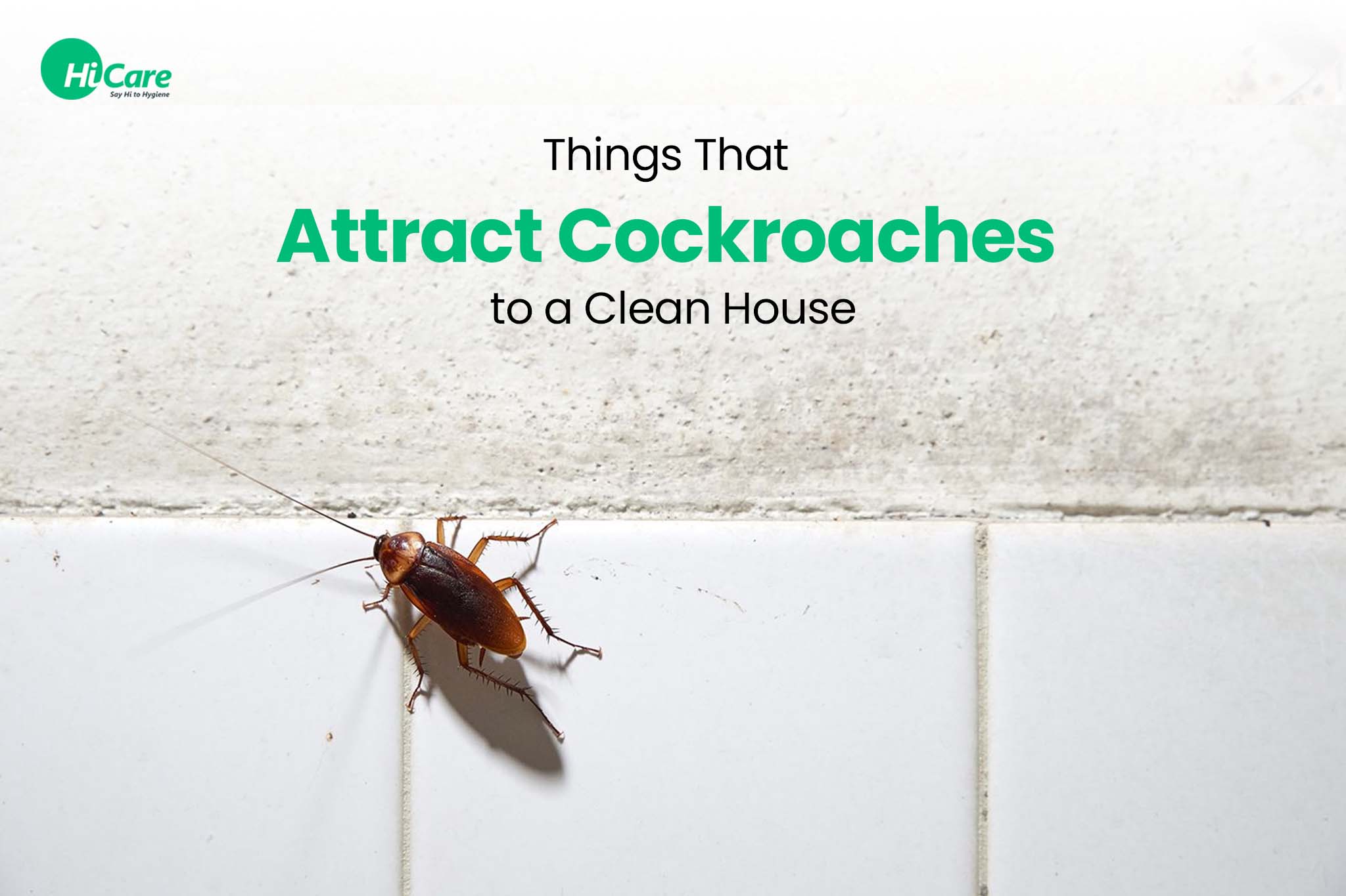 What Attracts Cockroaches in Your Home?