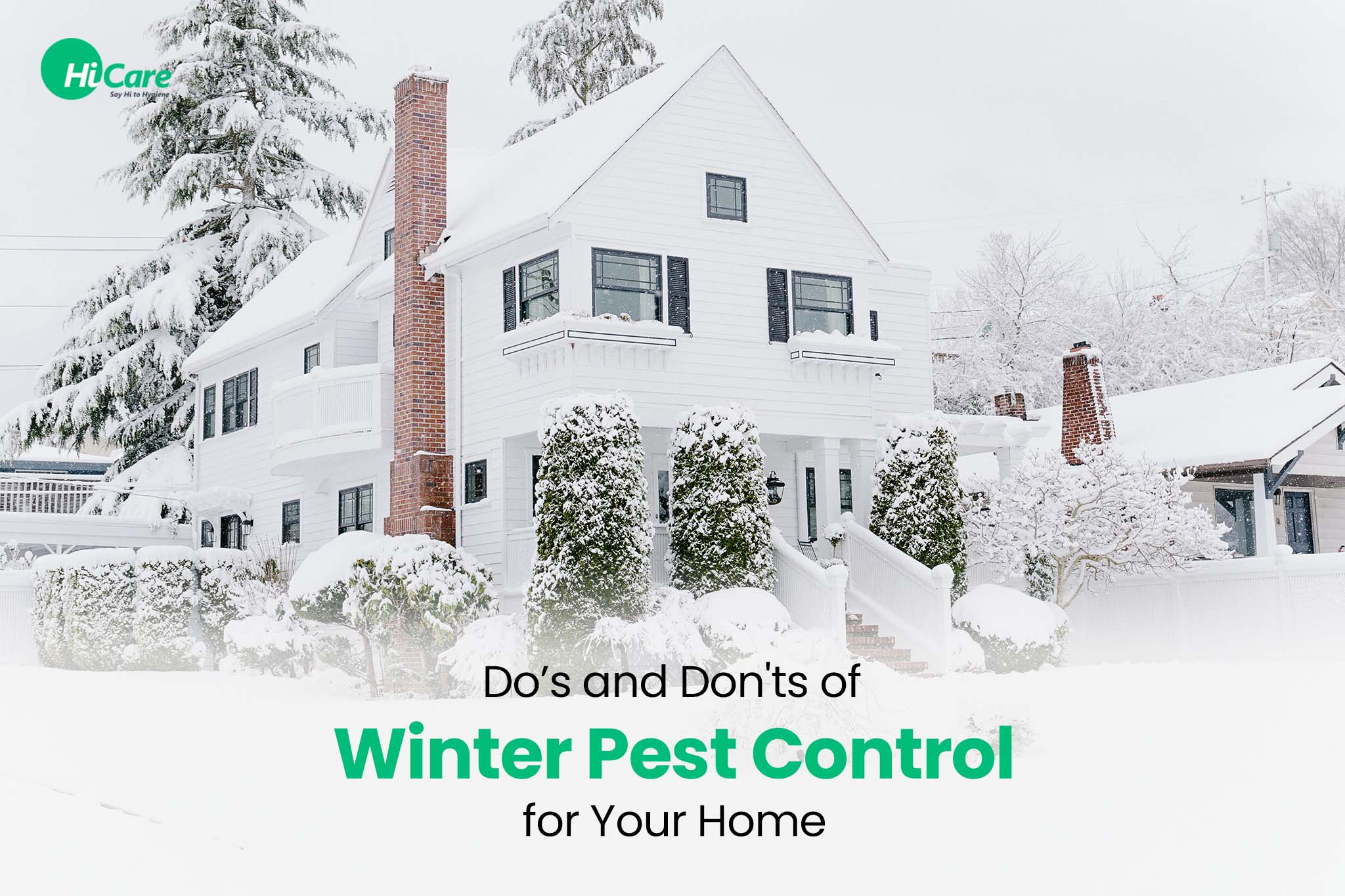 Dos and Don’ts of Winter Pest Control for Your Home