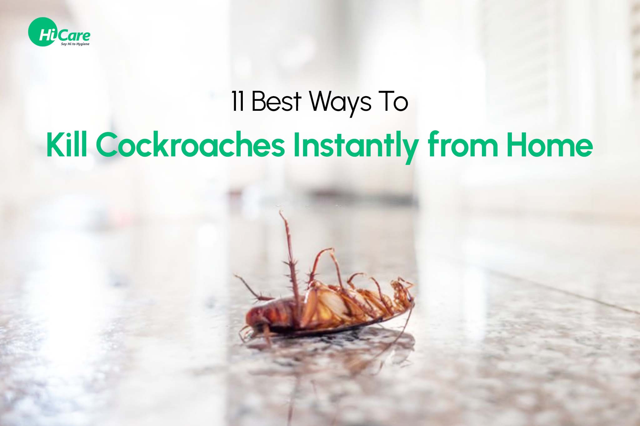 11 Best Ways To Kill Cockroaches Instantly from Home