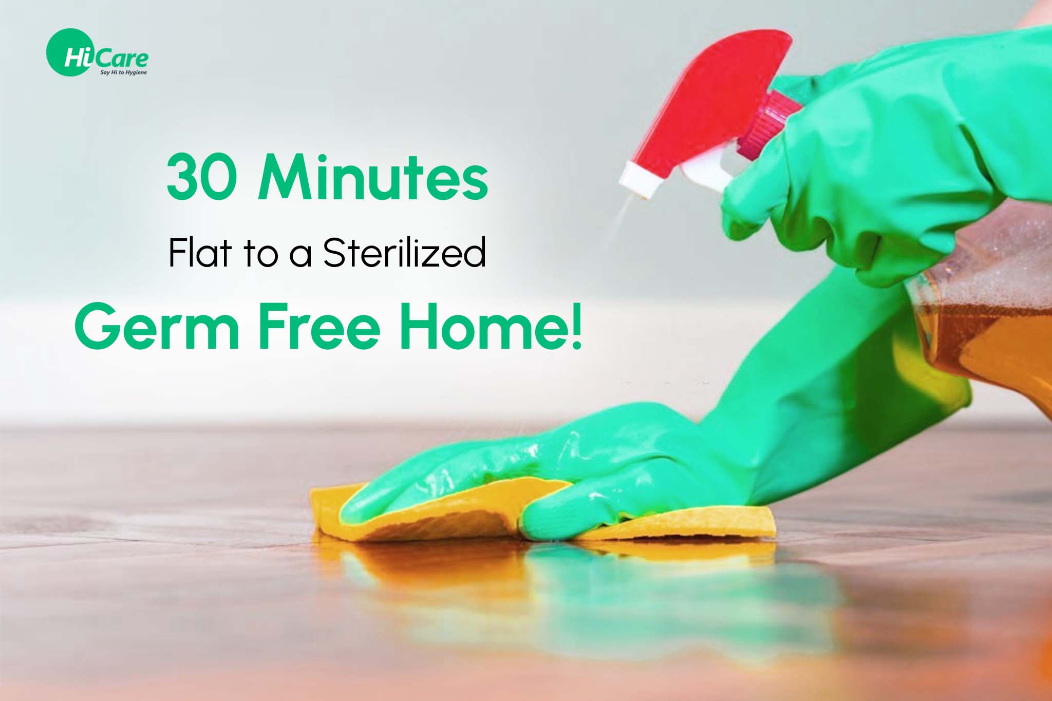 30 Minutes Flat to a Sterilized Germ Free Home!