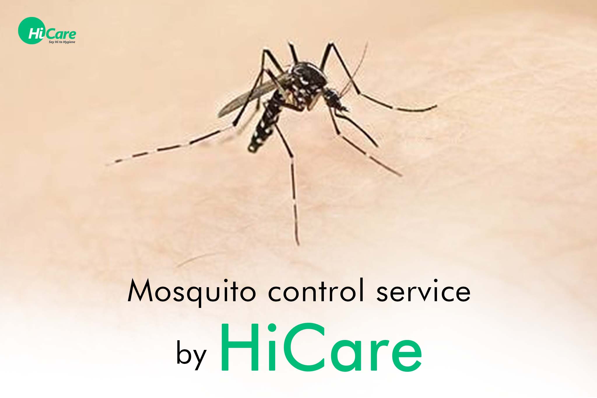 3X Mosquito Control Treatment: Best Mosquito Solution for Home by HiCare