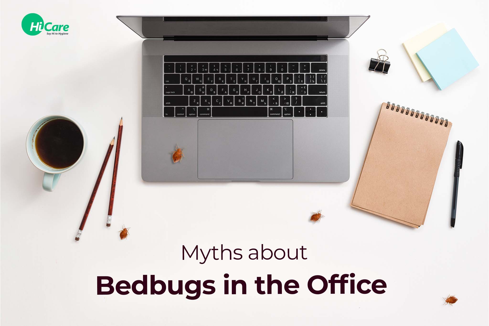 myths about bedbugs in the office
