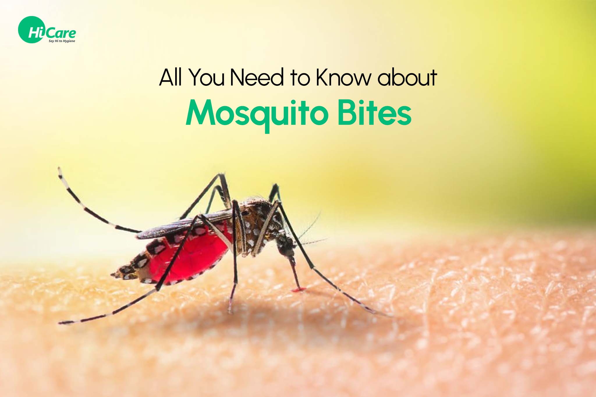 All You Need to Know about Mosquito Bites | HiCare