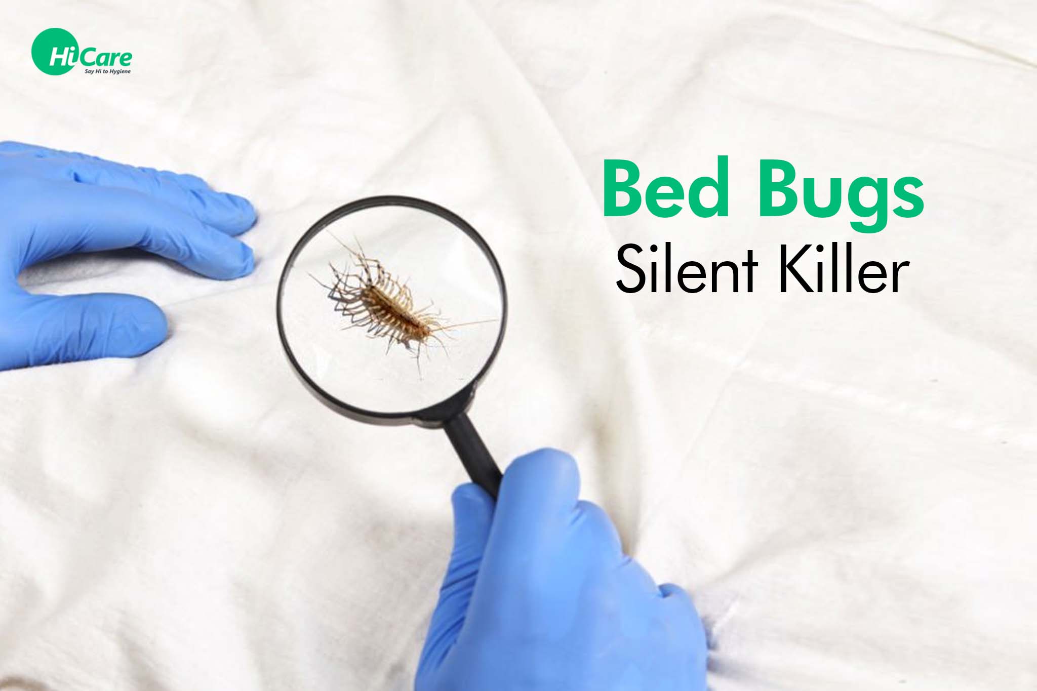 Bed Bugs Silent Killer | HiCare