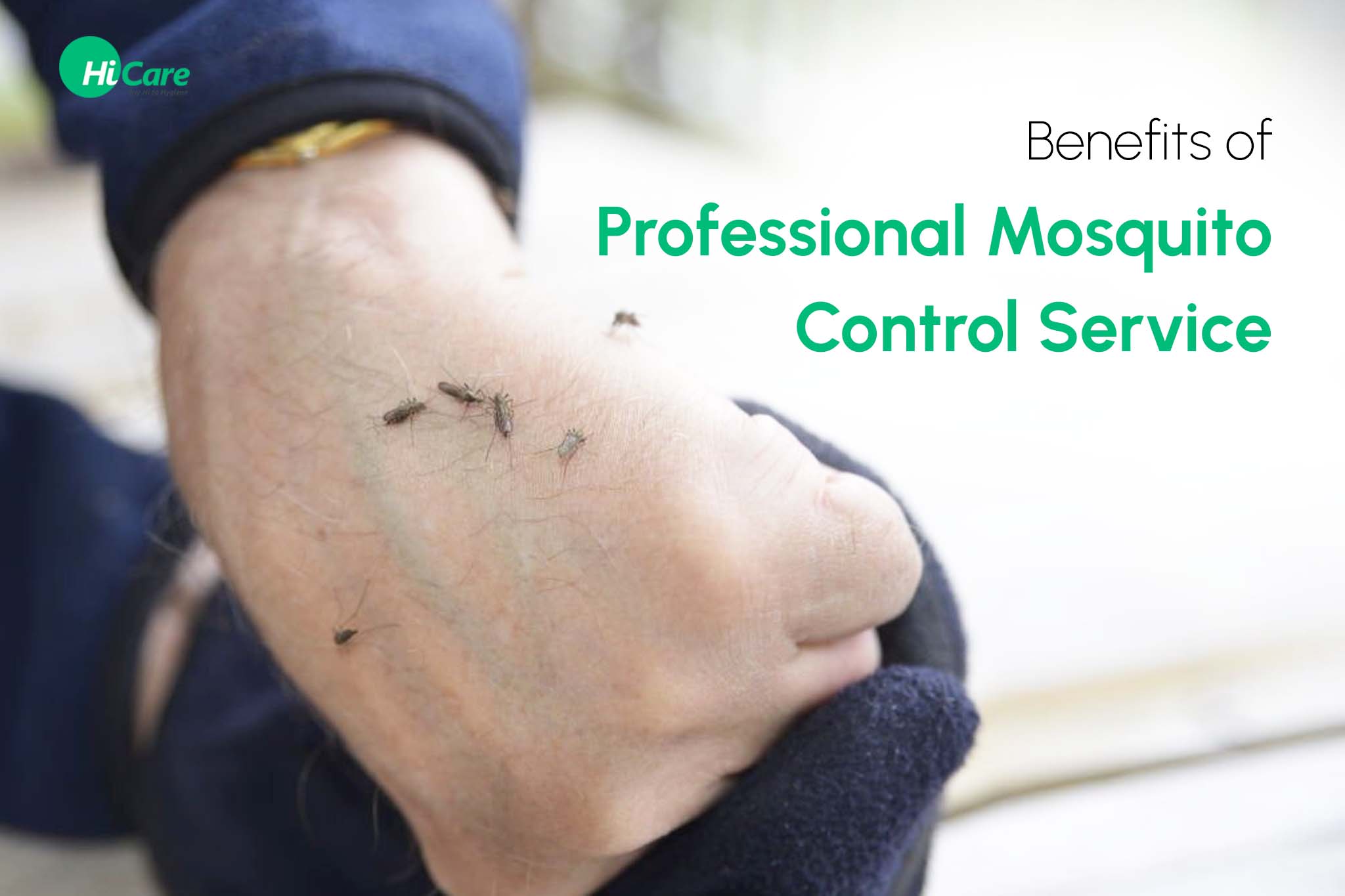 benefits of professional mosquito control service