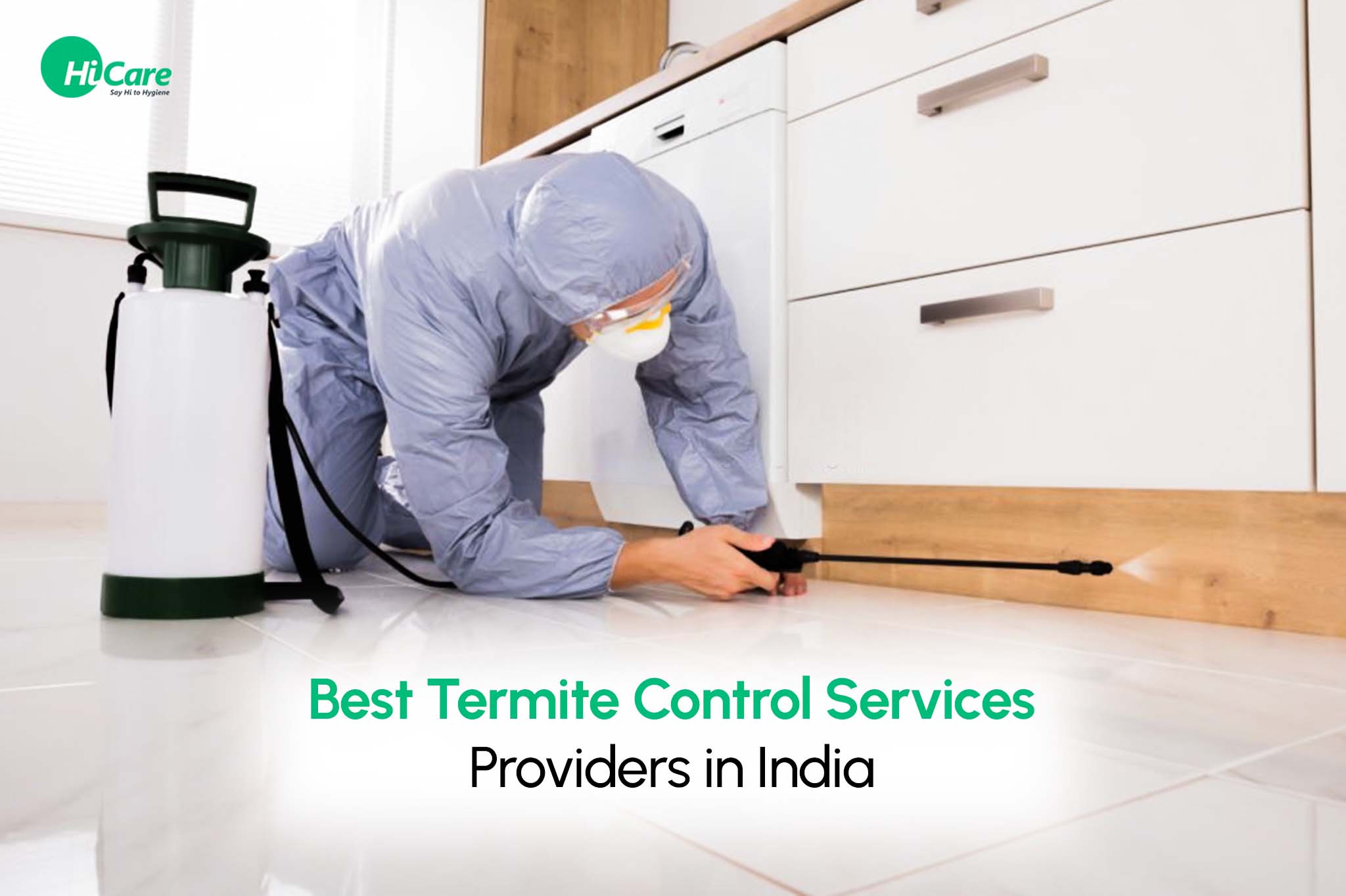 best termite control service providers in india