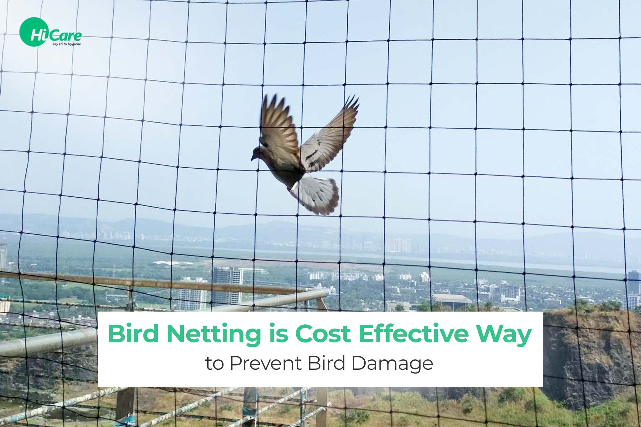 Bird Netting is Cost Effective Way to Prevent Bird Damage