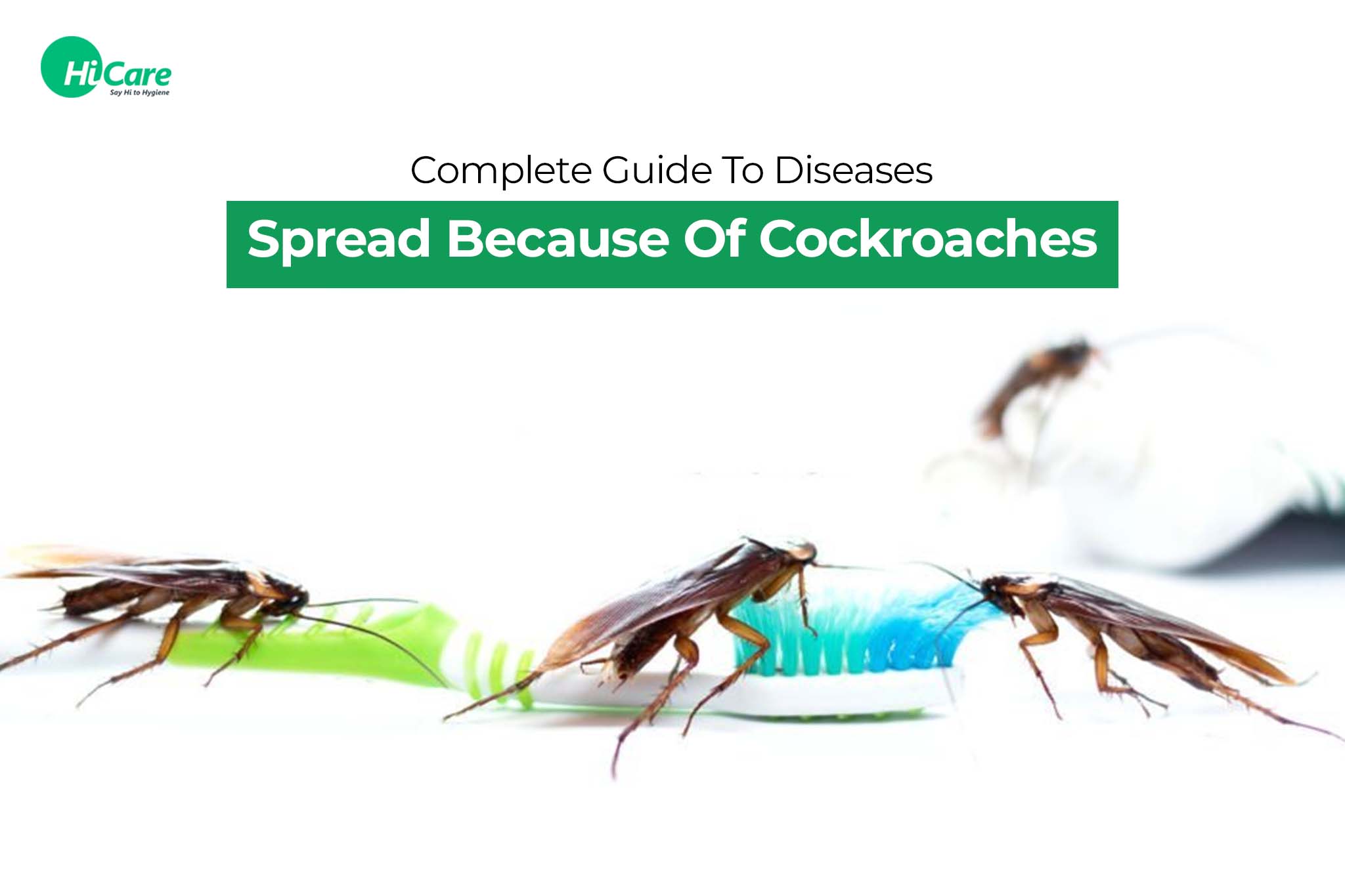 Cockroach Diseases What Diseases Spread By Cockroaches Hicare