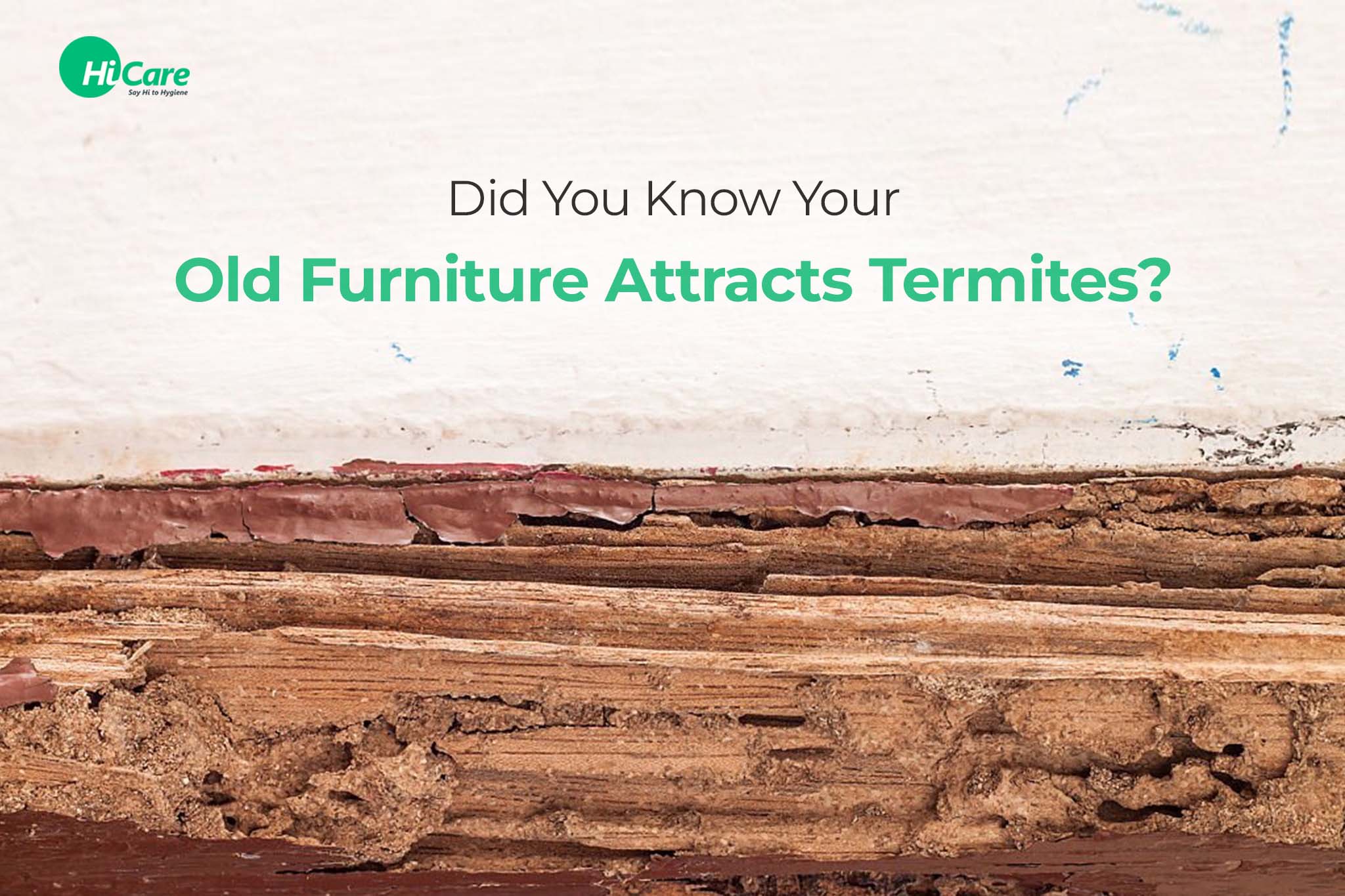old furniture attracts termites
