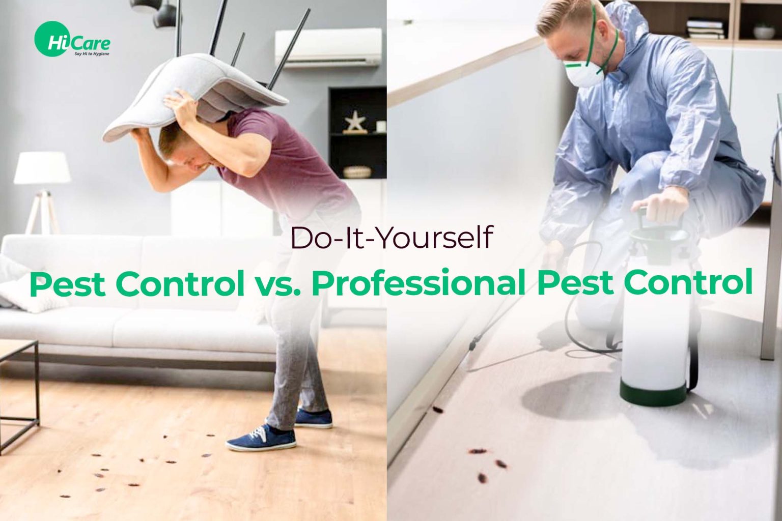 Pest Control DIY vs Professional Pest Control HiCare