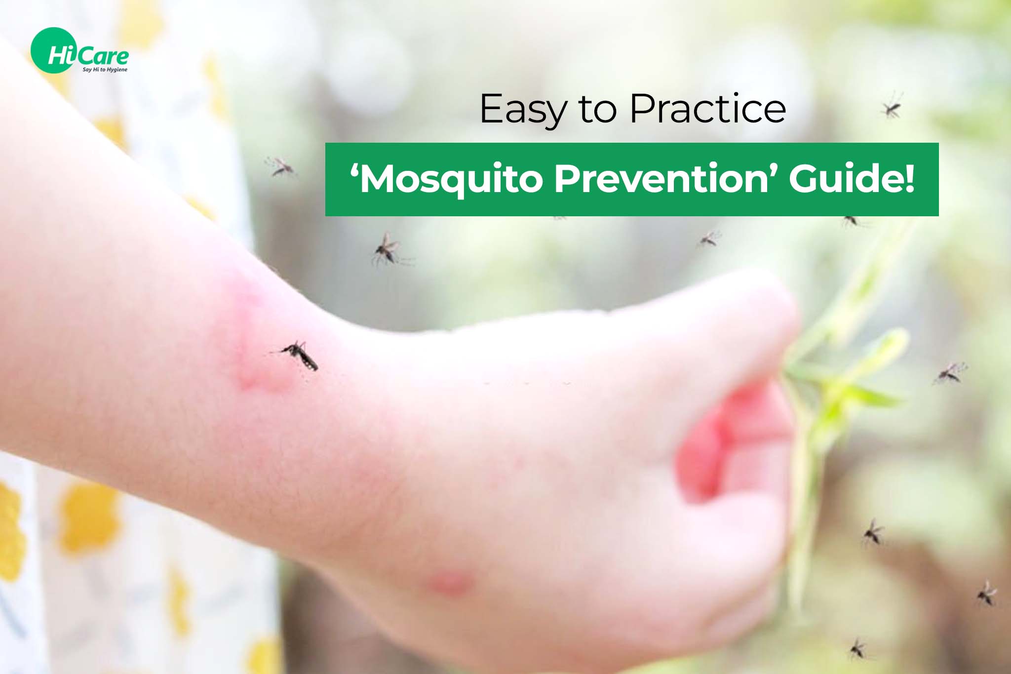 easy to practice ‘mosquito prevention’ guide