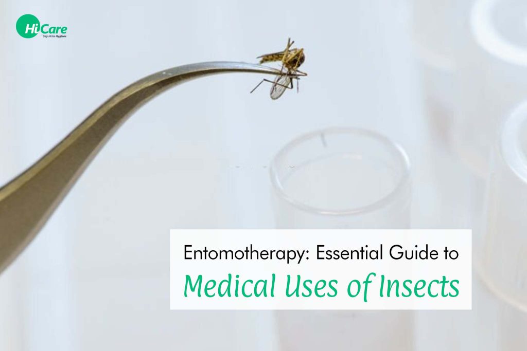 Entomotherapy The Medicinal Uses of Insects HiCare