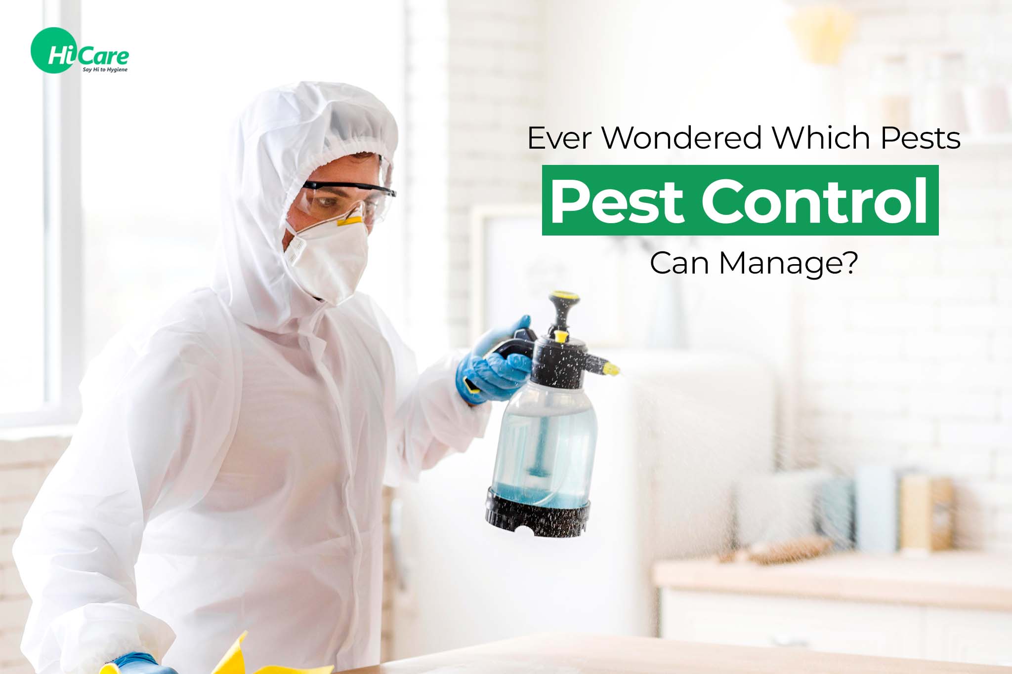 ever wondered which pests pest control can manage