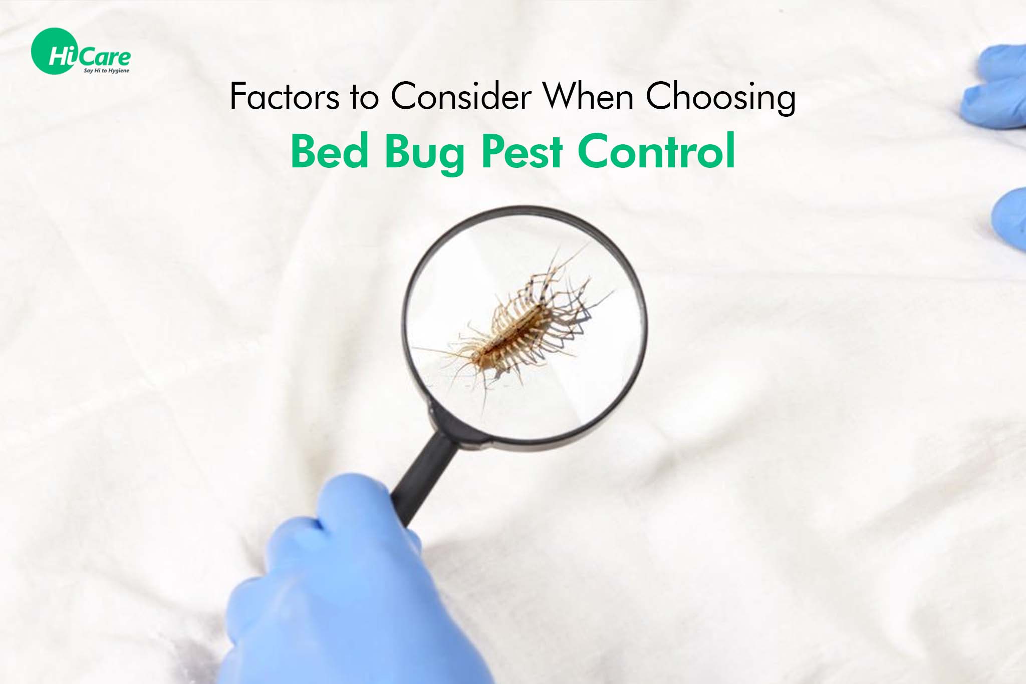 7 Factors to Consider When Choosing Bed Bug Pest Control | HiCare