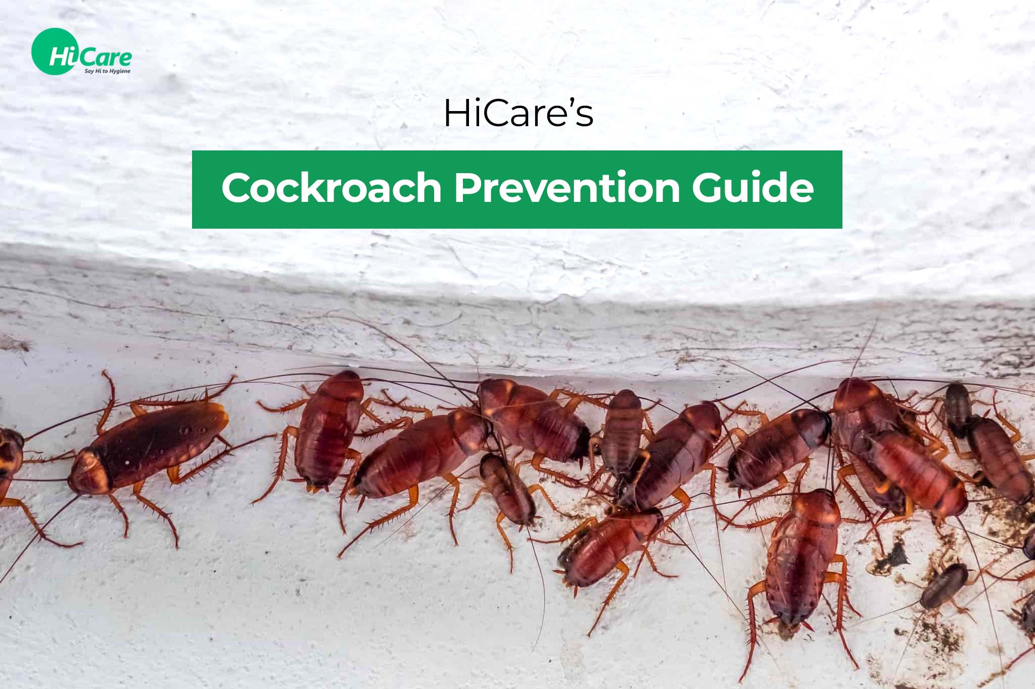 cockroach prevention guide