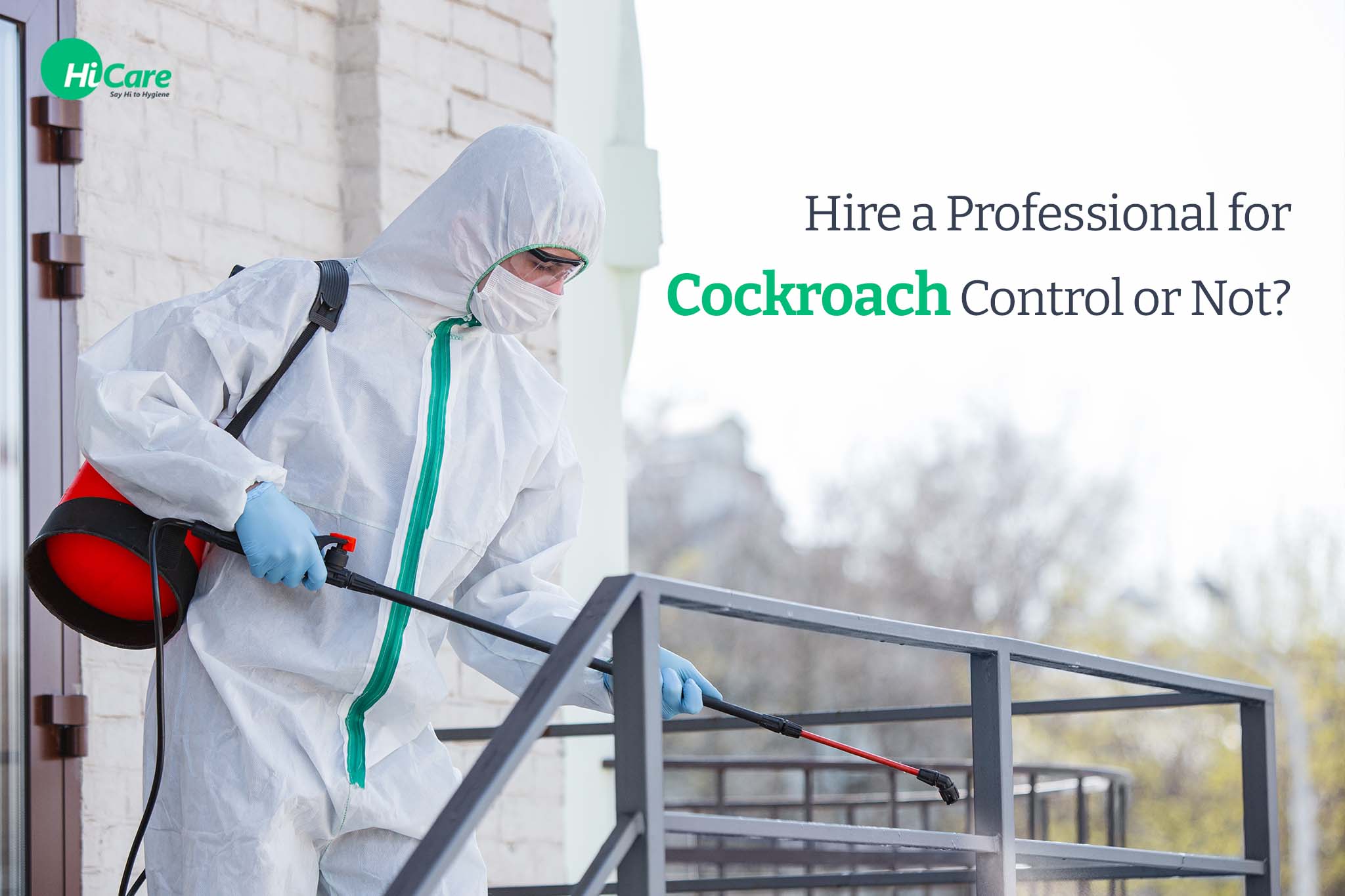 reasons to hire a professional cockroach control