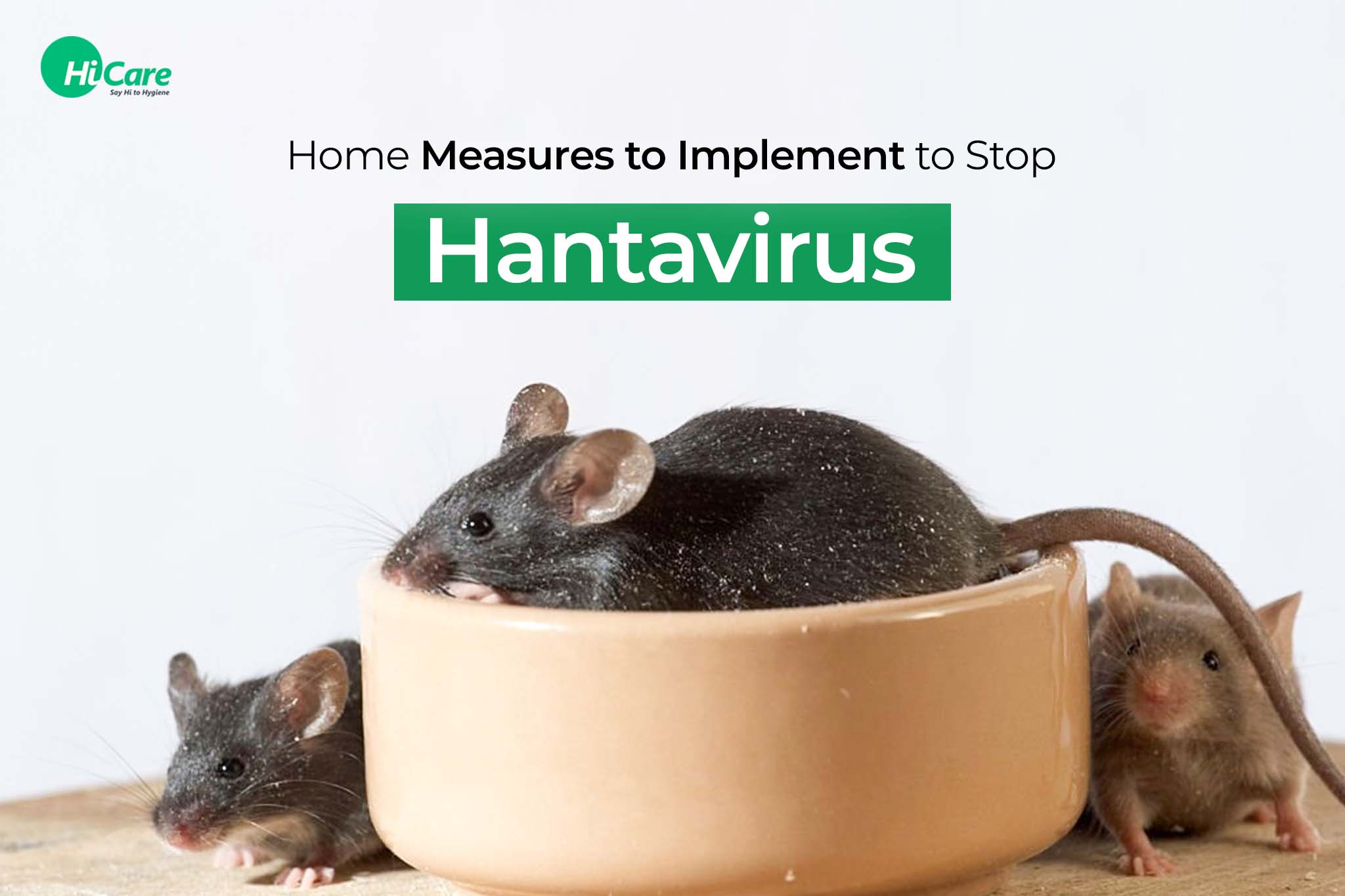 home measures to implement to stop hantavirus