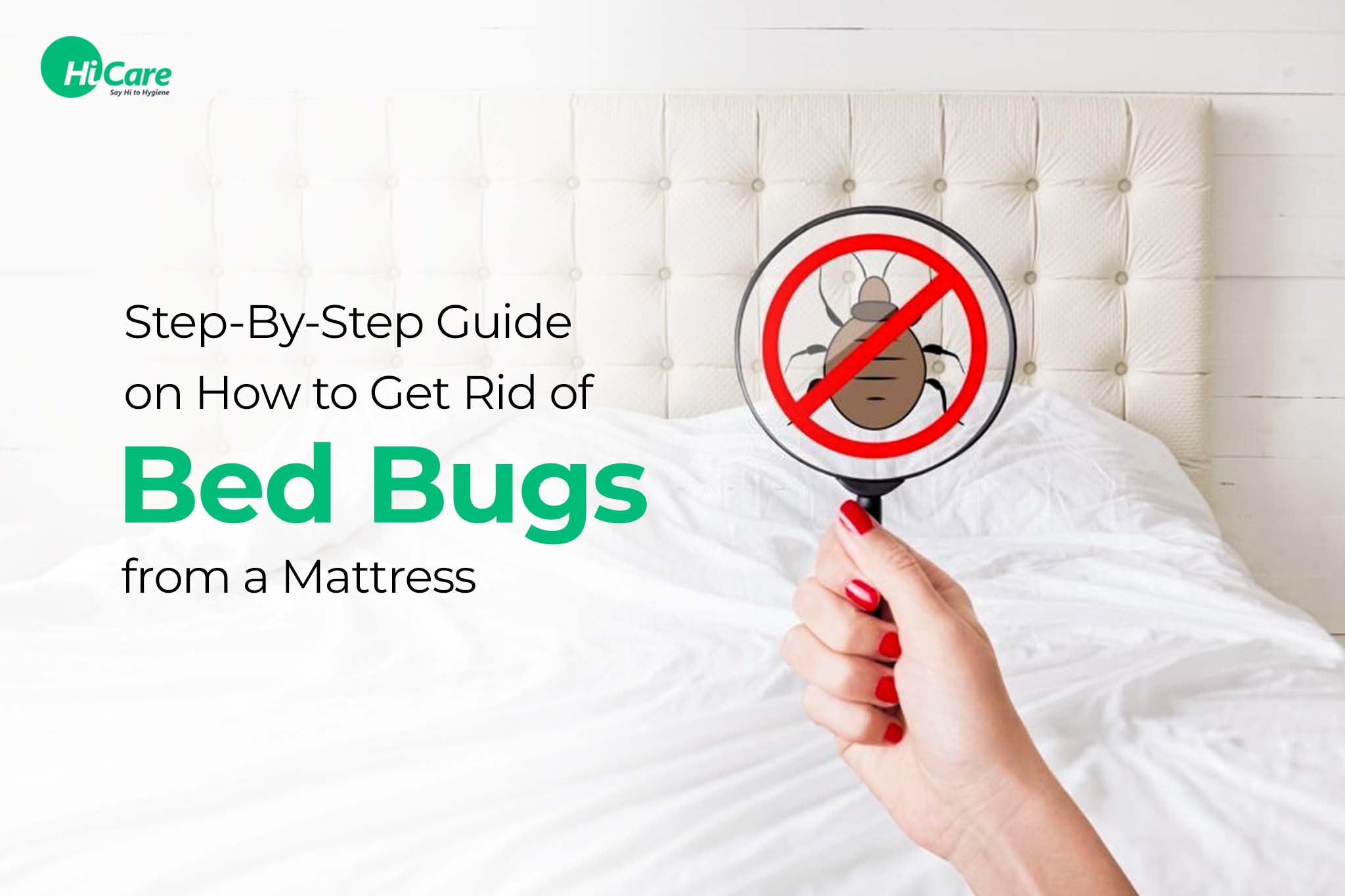 how to get rid of bed bugs from a mattress