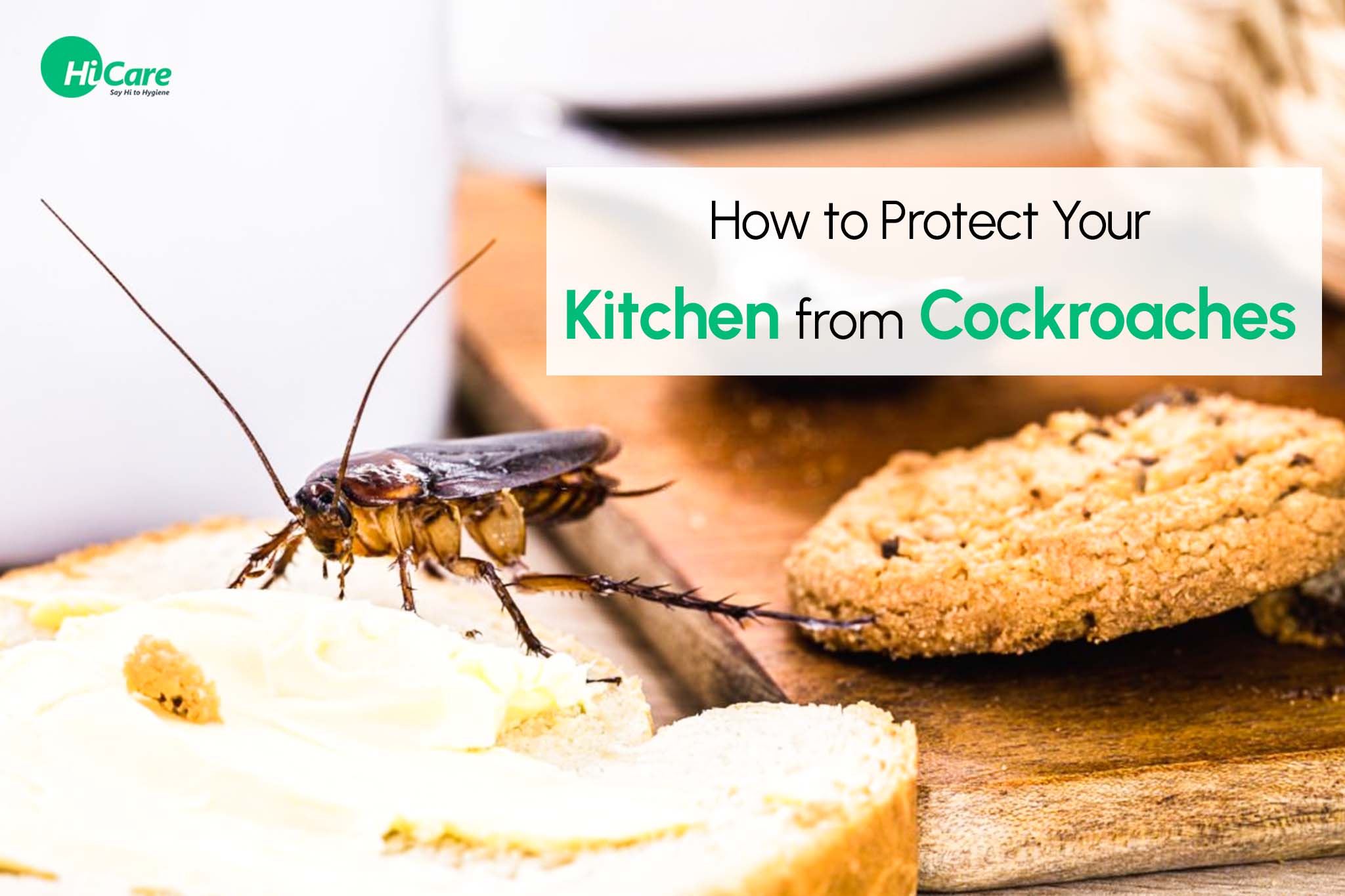 how to protect your kitchen from cockroaches