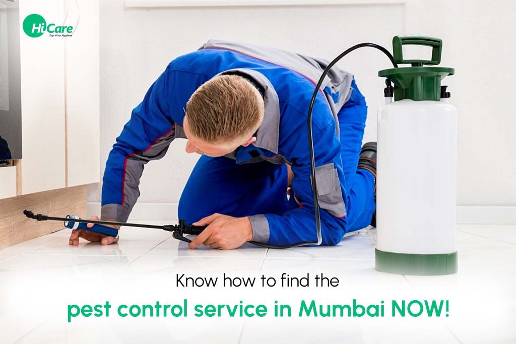 How to find the pest control service in Mumbai? HiCare