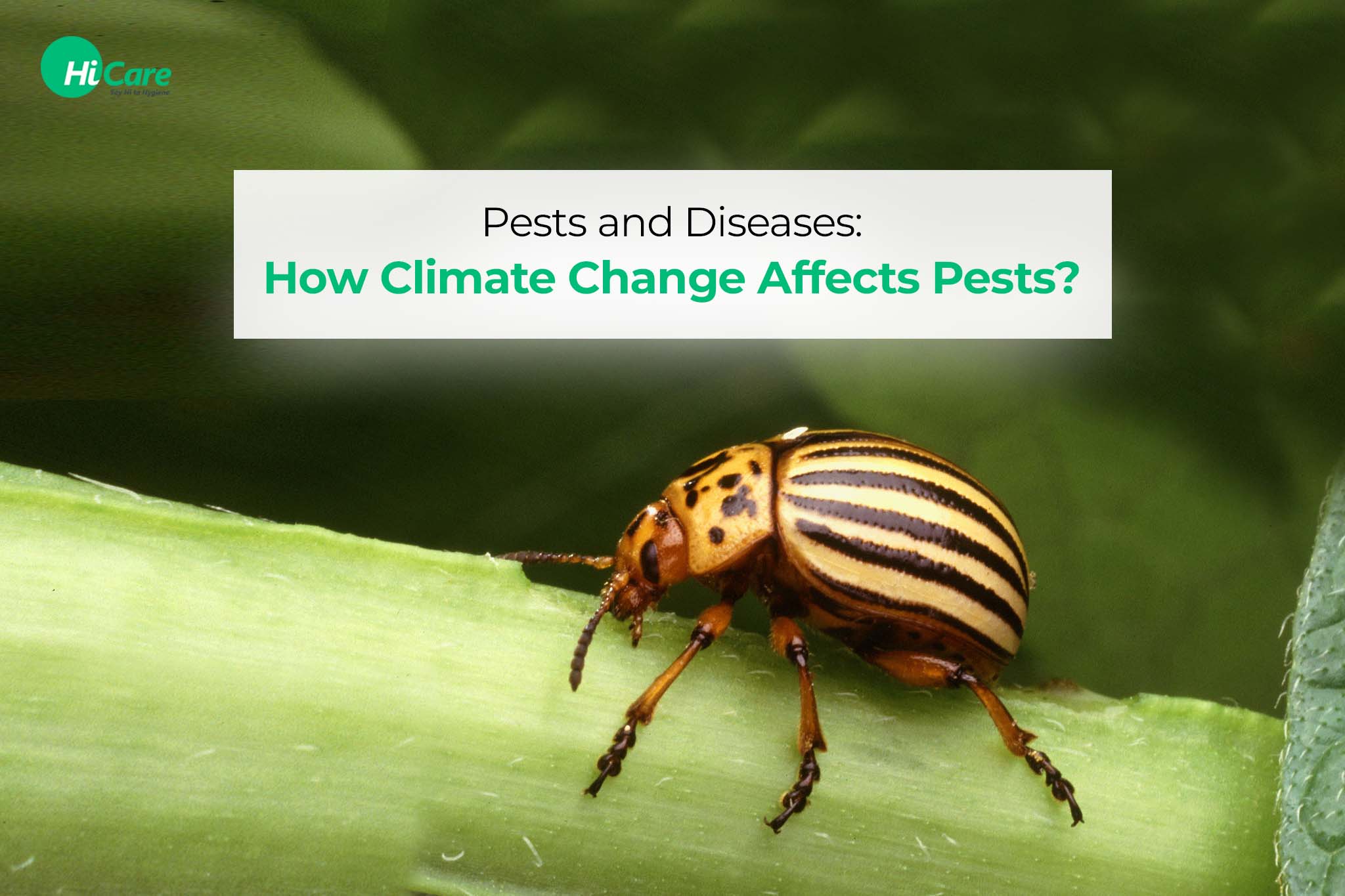 how climate change affects pests
