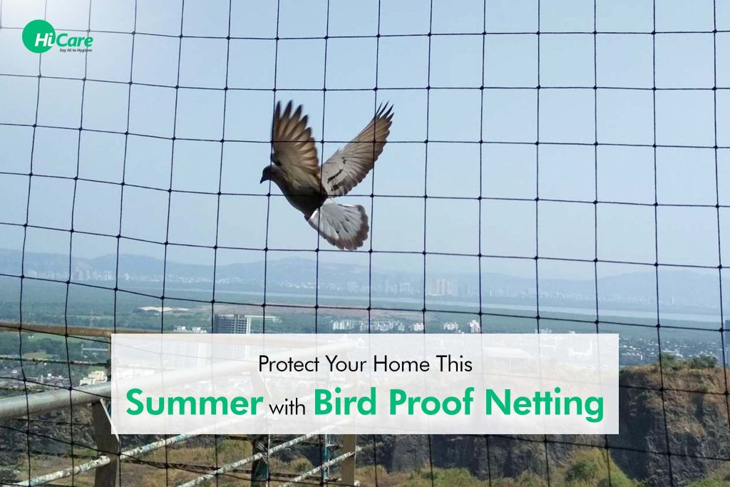 Top 4 Benefits of Summer Bird Netting HiCare