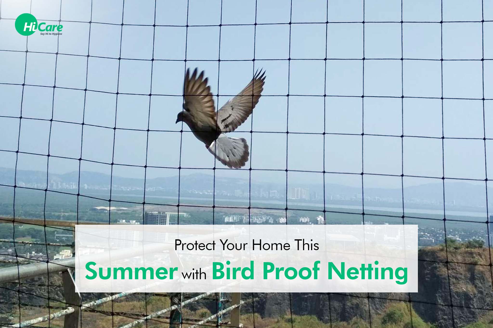 protect your home this summer with bird proof netting