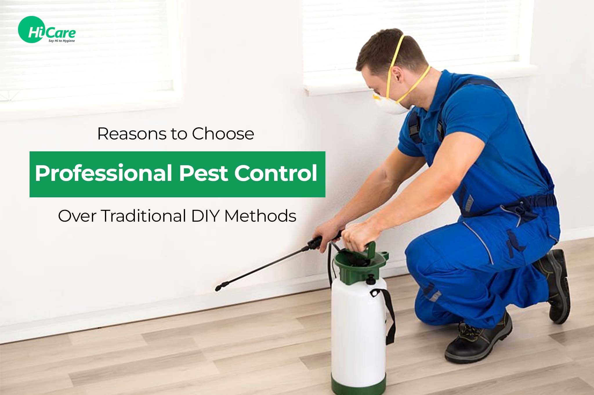 reasons to choose professional pest control over traditional diy methods
