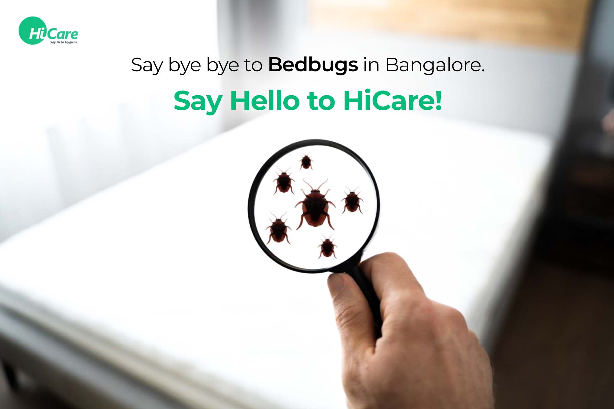 say bye bye to bedbugs in bangalore. say hello to hicare