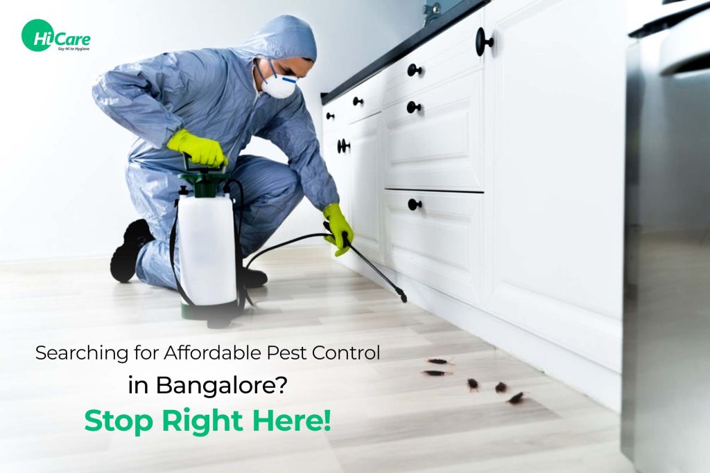 Affordable Best Pest Control Services in Bangalore HiCare