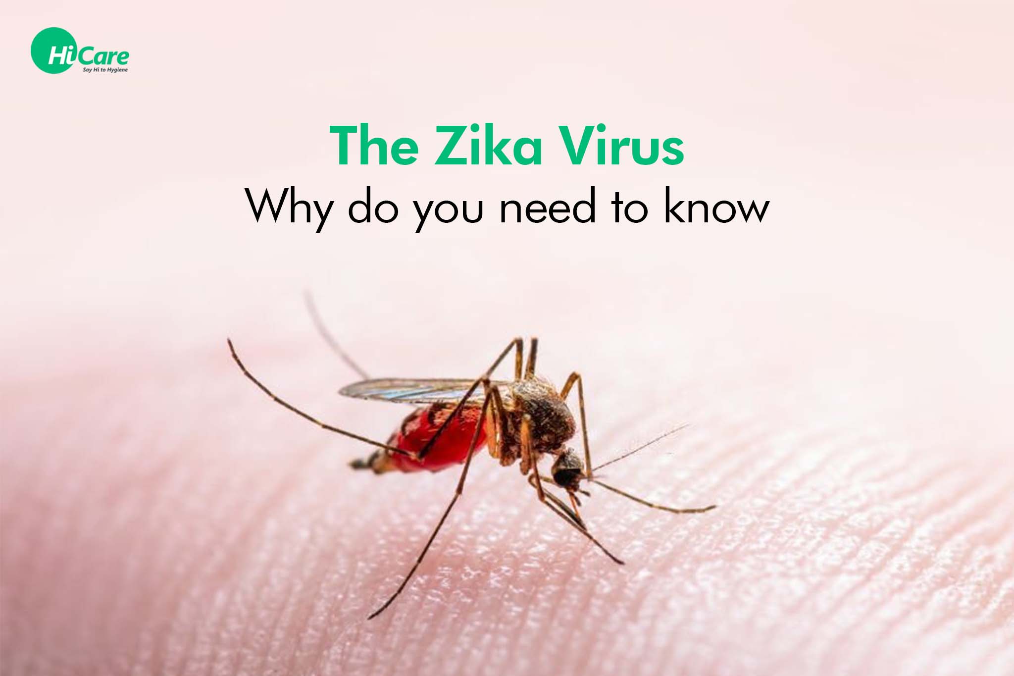 The Zika Virus: Why do you need to know