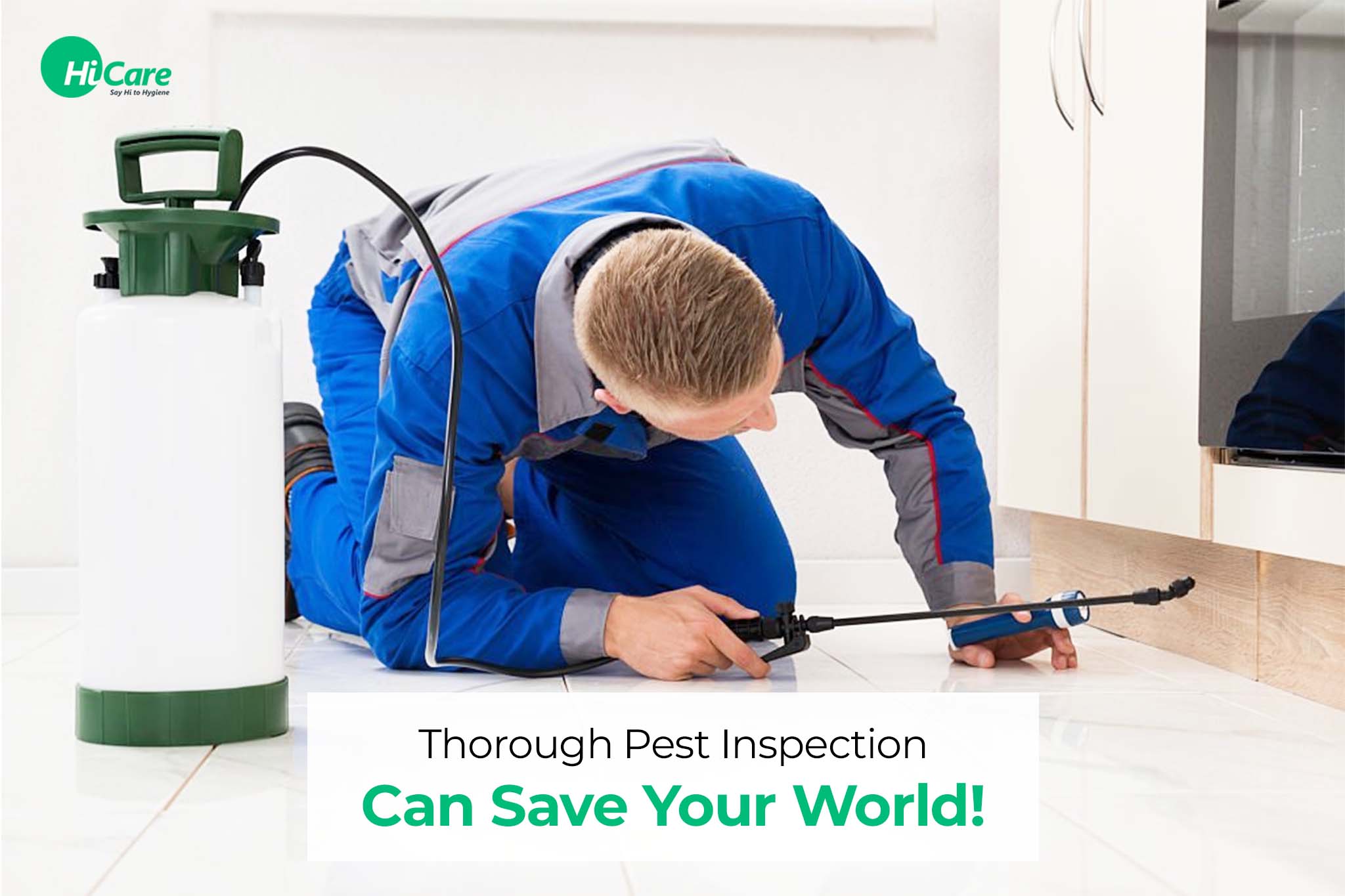thorough pest inspection
