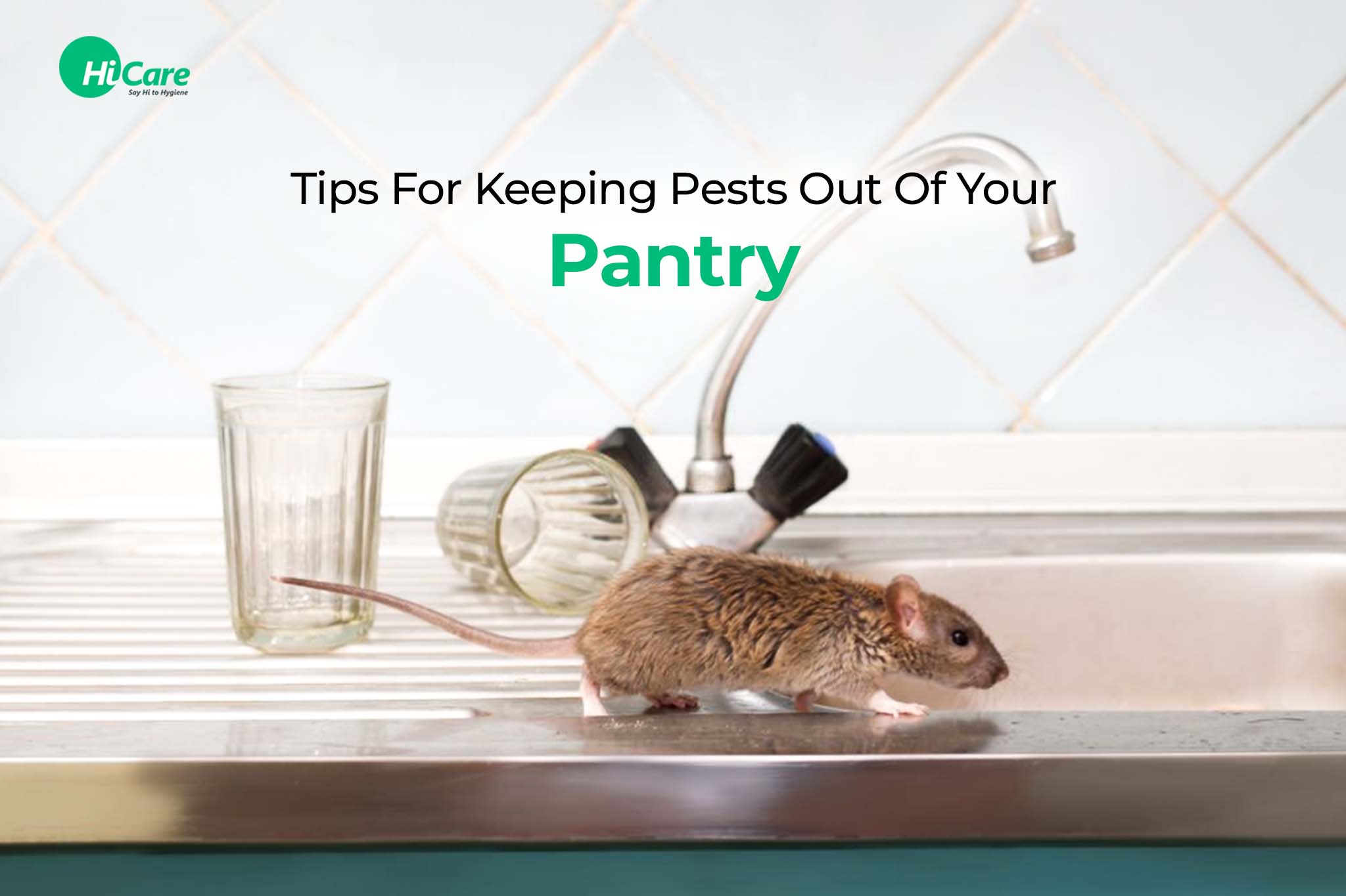 tips for keeping pests out of your pantry