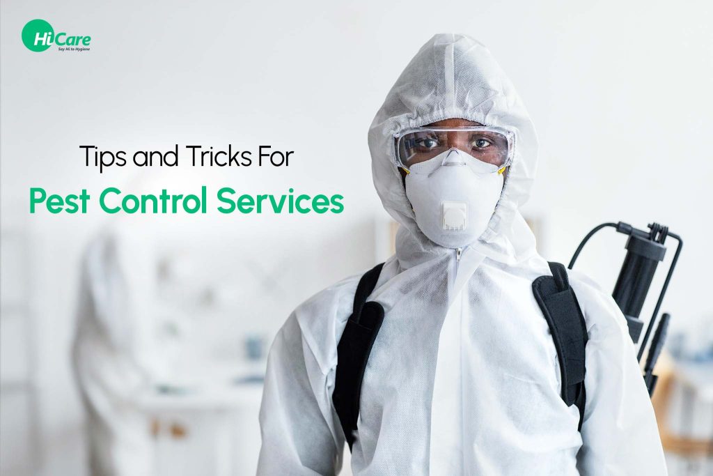 Top 10 Tips And Tricks For Pest Control Services Hicare