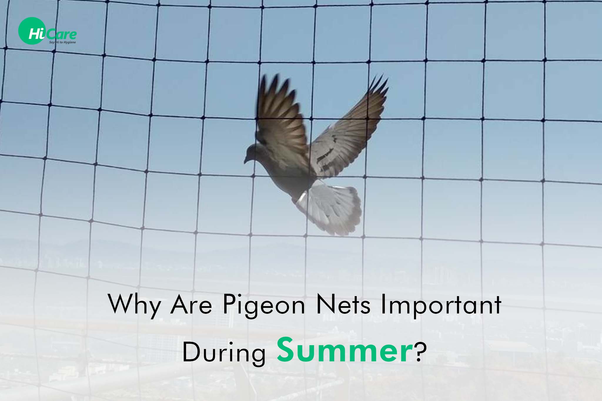 why are pigeon nets important during summer