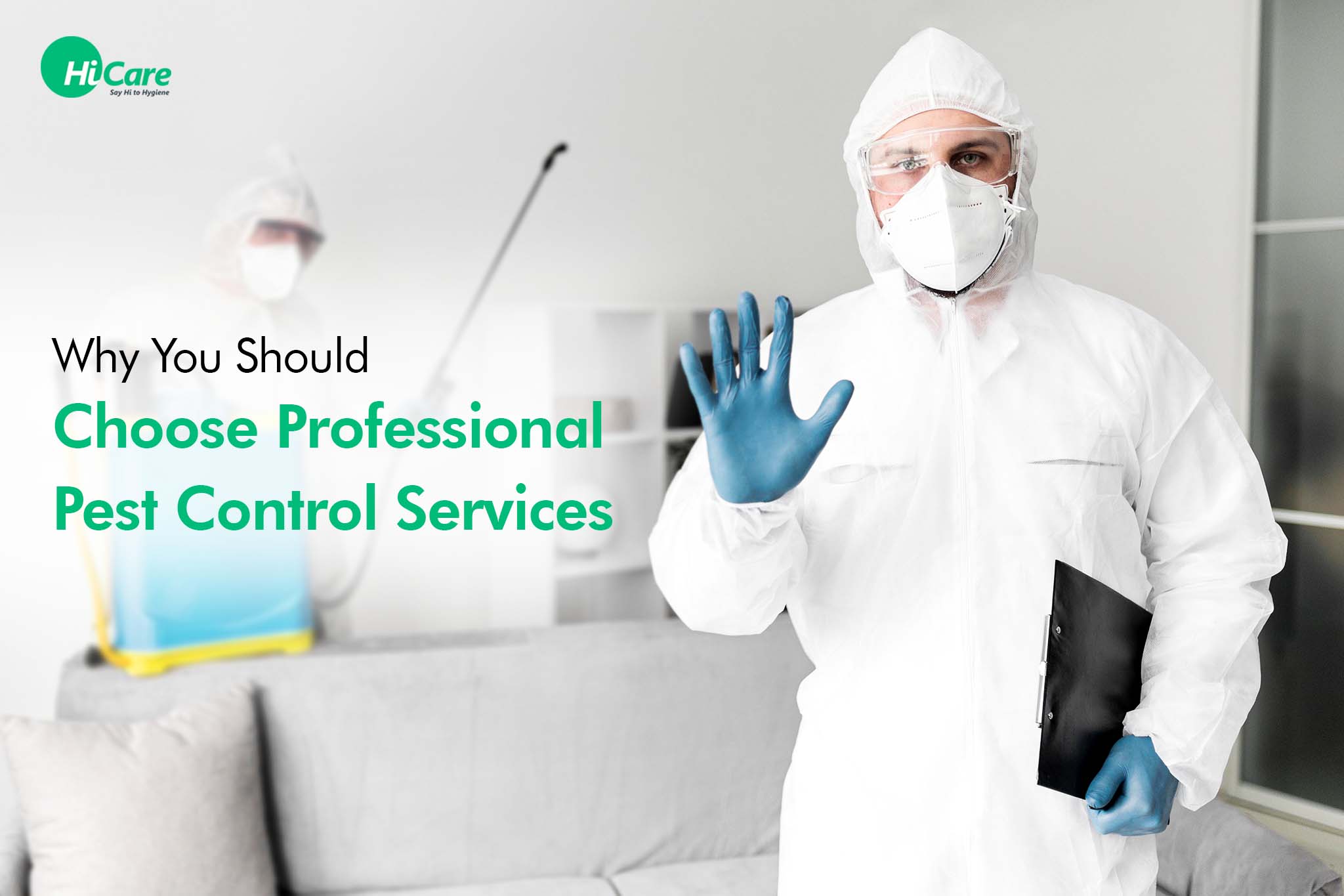 why you should choose professional pest control services