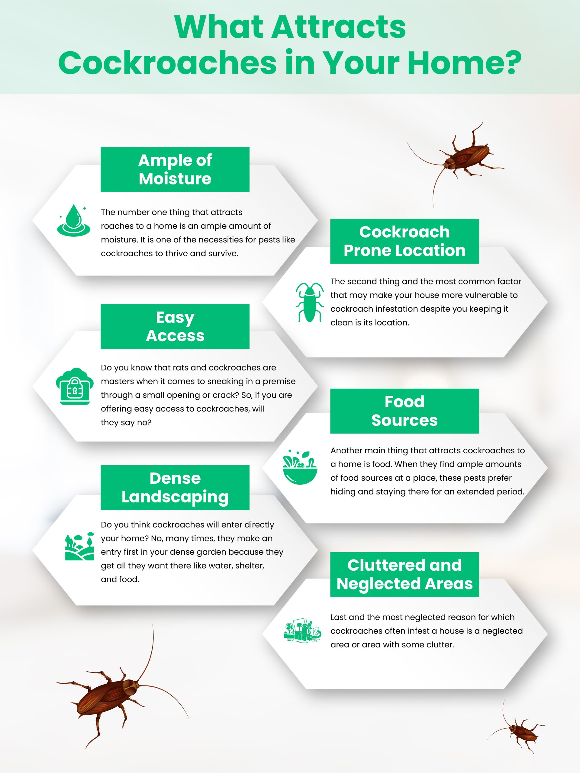 6 Common Things That Attract Cockroaches To Your House