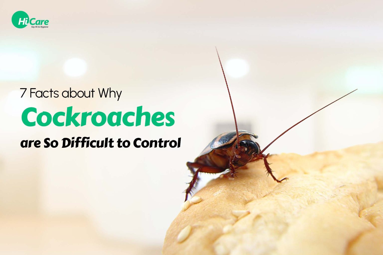 7 Facts Why Are Cockroaches So Difficult To Control | HiCare