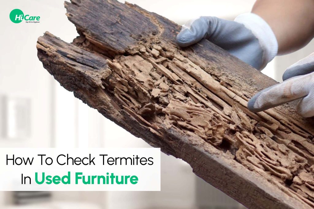 Signs of Termites in used Furniture HiCare