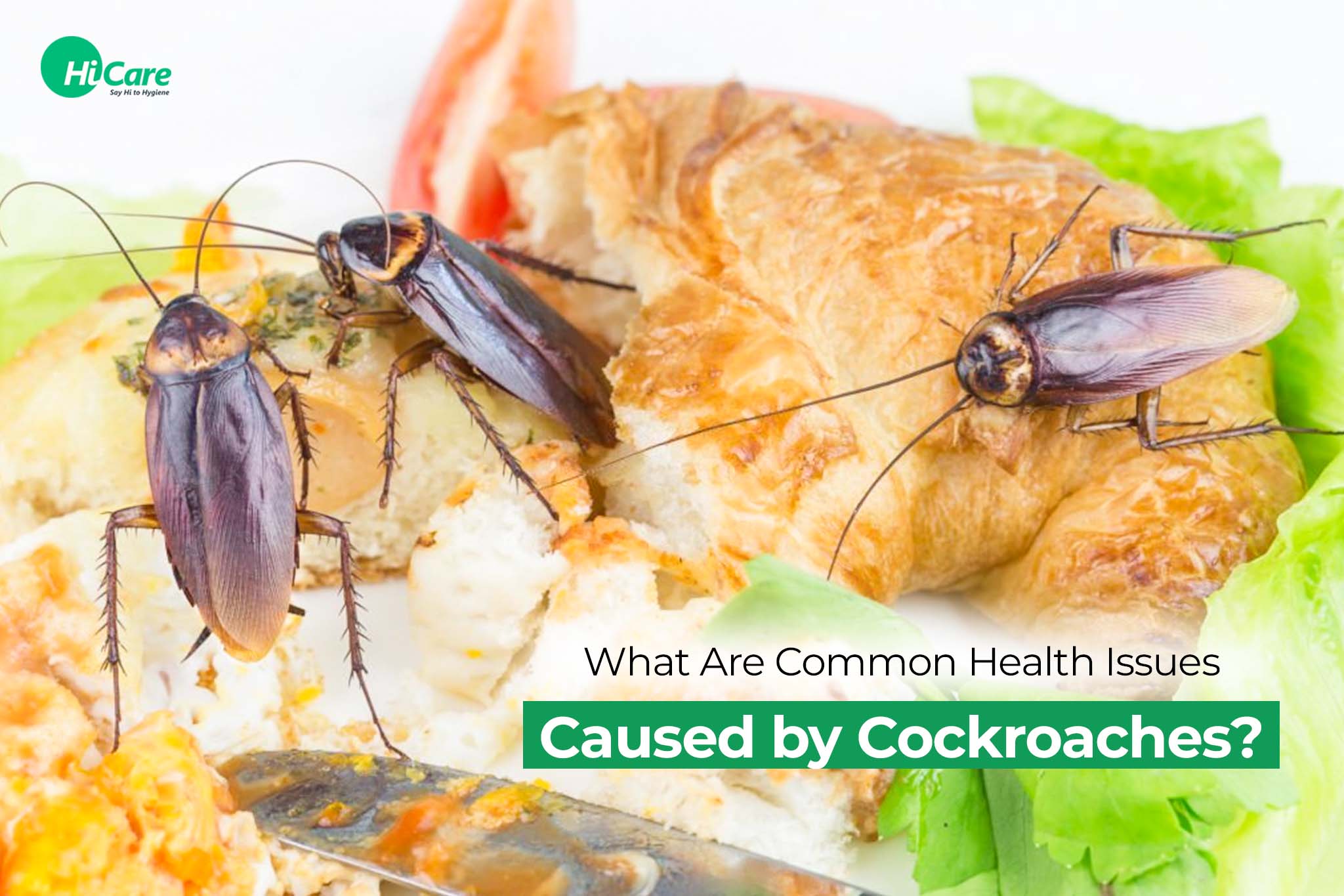 common health issues caused by cockroaches