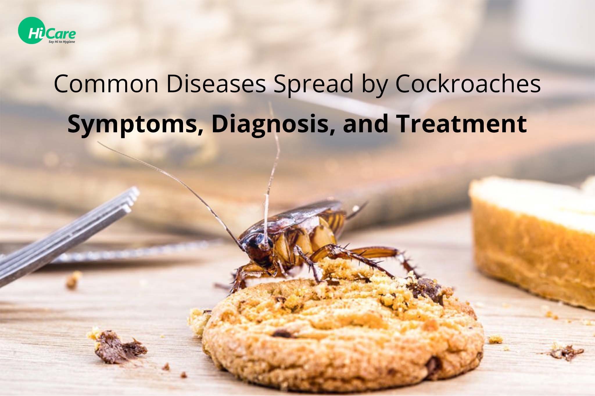 Common Diseases Spread by Cockroaches: Types, Symptoms & Treatment