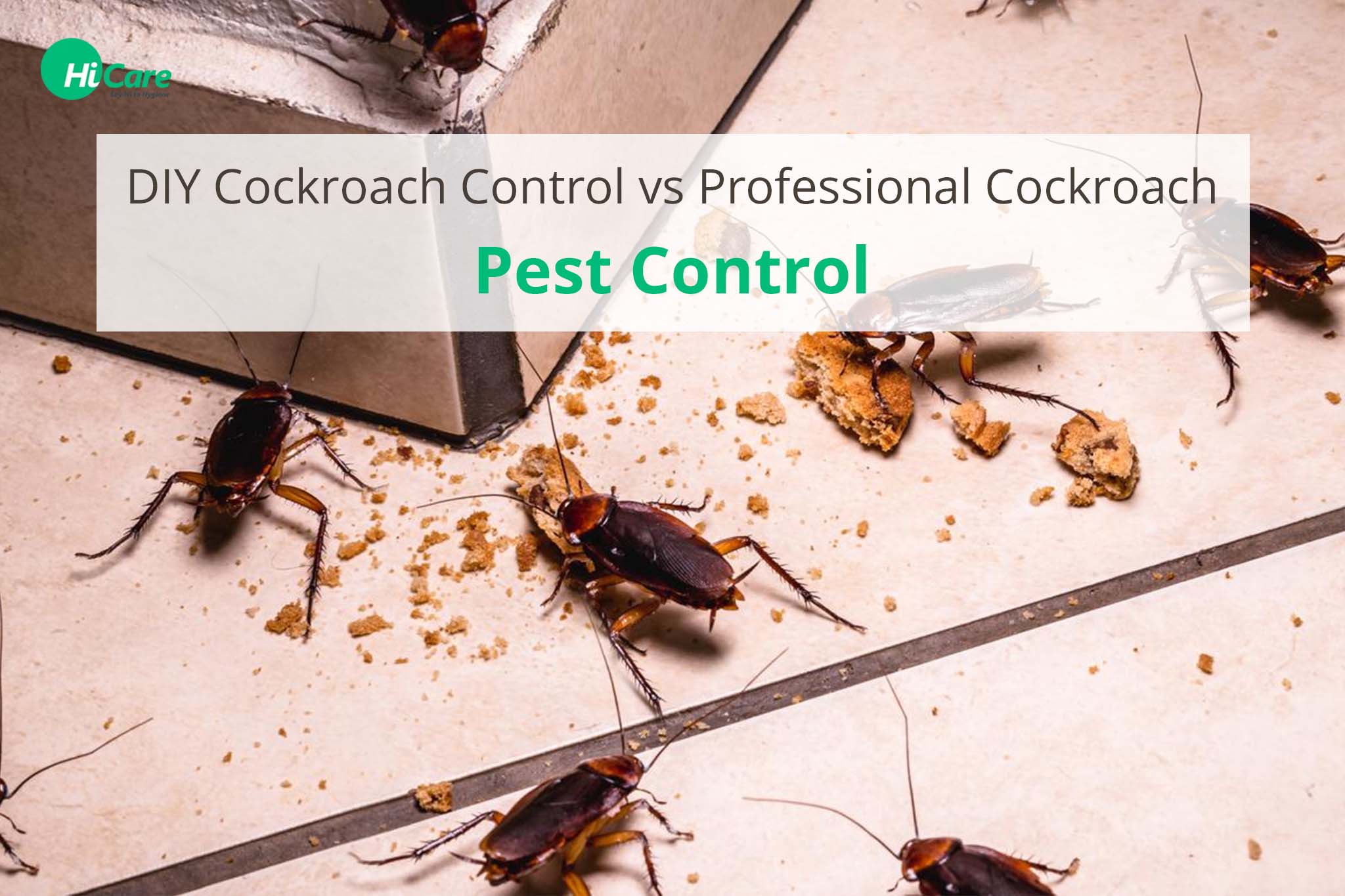 DIY Cockroach Control Vs. Professional Cockroach Pest Control
